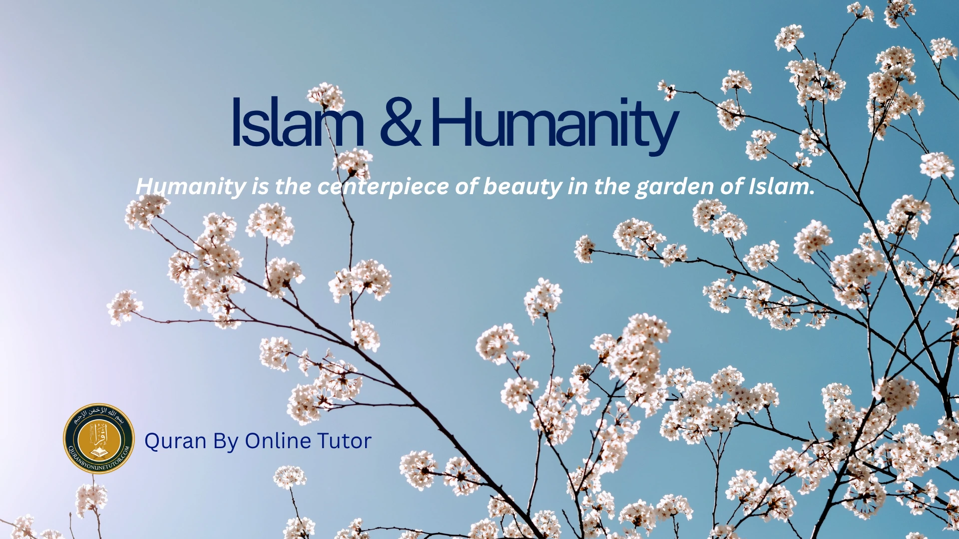 Islam and Humanity